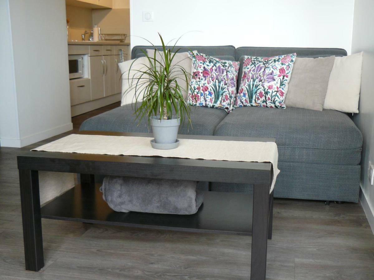 Studio Belle Vue Strasbourg Eksteriør billede